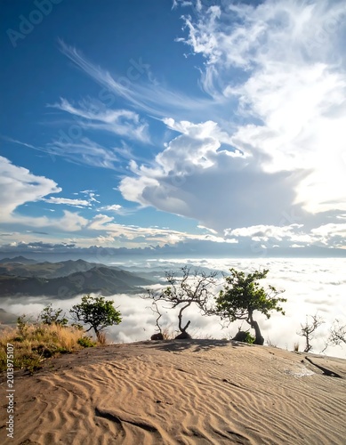 Wide Angle Landscape Photo Of A Mountain Peak With A Sea Of Clouds And Small Trees Under A Bright Blue With Wispy White Clouds At Sunrise