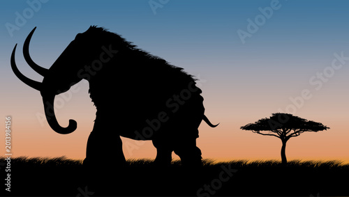 Tablou pe pânză Mammoth on safari at sunset, color vector illustration