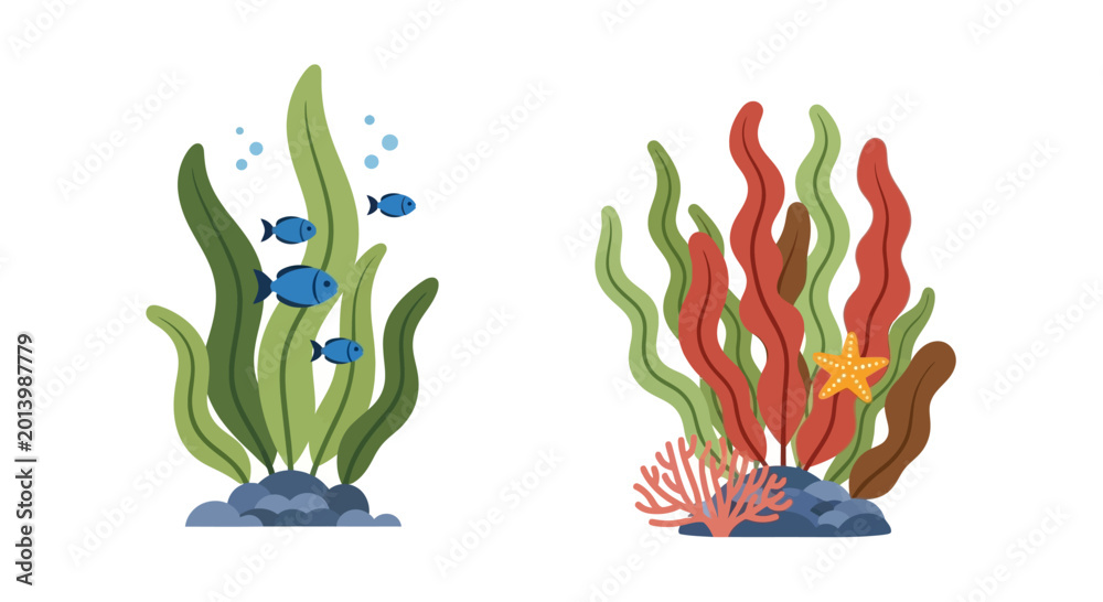 Obraz premium Vibrant underwater scene with colorful coral, seaweed, starfish, and small fish in clear blue water.