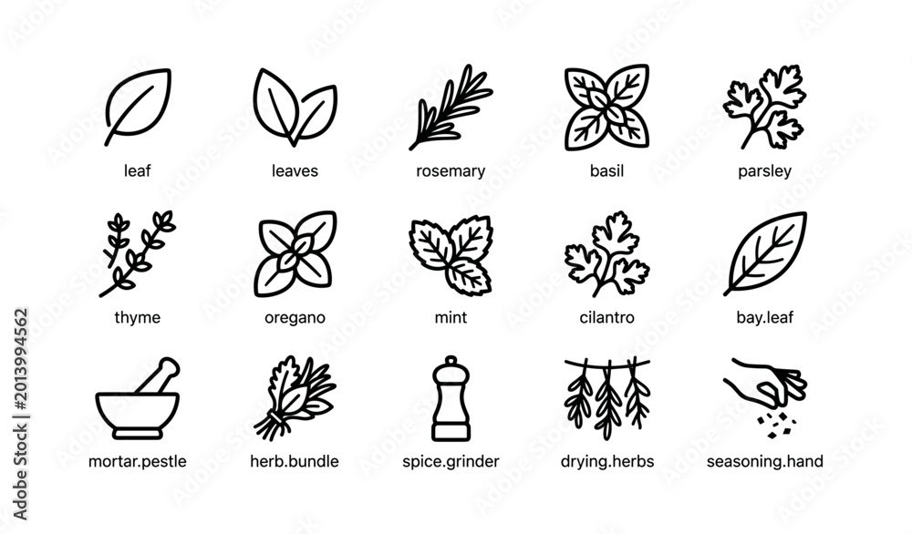 Fototapeta premium Herb and spice icons displayed on white background grid