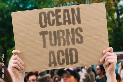 Photos "Ocean Turns Acid" Rising carbon dioxide absorption lowers seawater pH measurably