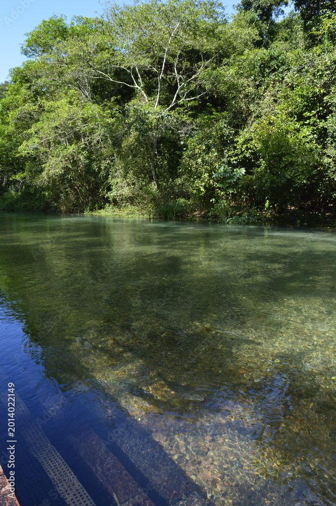 Obraz premium Refugio da Barra em Bonito no Mato Grosso do Sul