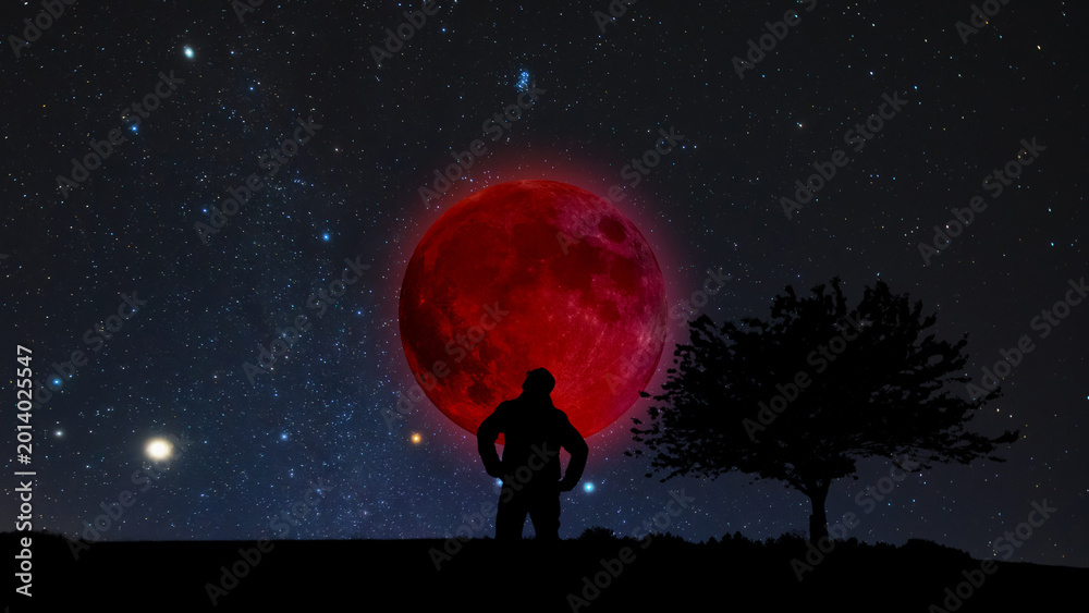 Fototapeta premium Amateur astronomer observing stars, planets, Moon eclipse and other celestial objects.