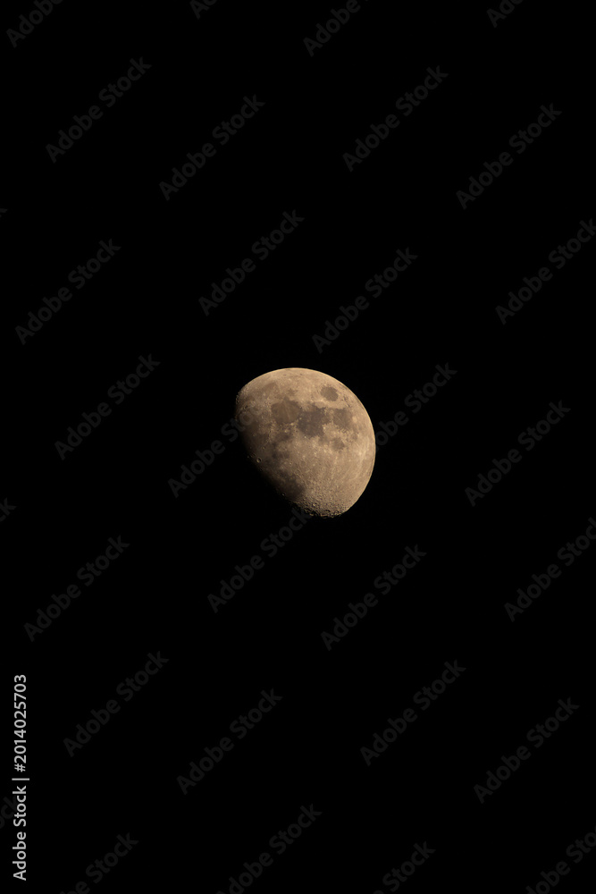 Fototapeta premium Waxing gibbous Moon on a dark evening sky.