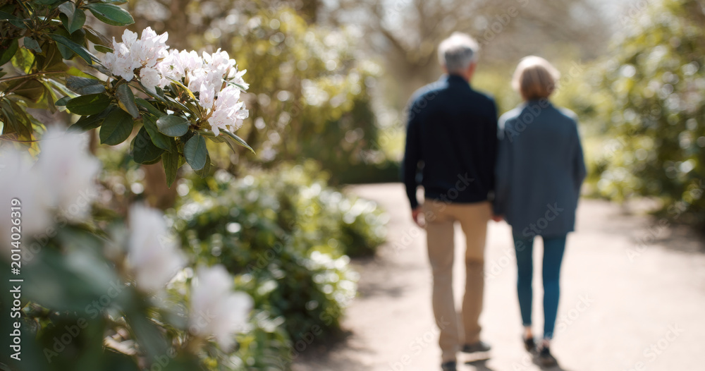 Fototapeta premium Elderly couple walking in spring park