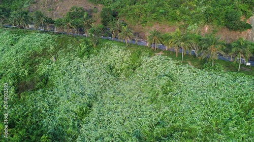 Aerial view of mountains with winding road, palm trees and ocean in the background. Tropical coastal landscape captured from above.