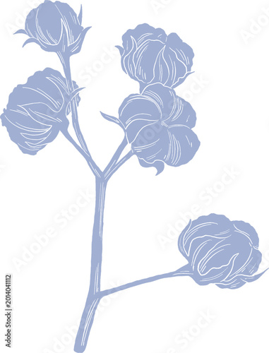 Cotton Flower Flat Color Botanical Illustration Minimal Decorative Natural Textile Floral Design