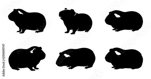 Obraz na płótnie Six Black Guinea Pig Silhouettes, Vector Graphics Set, Cute Rodent Icons for Pet