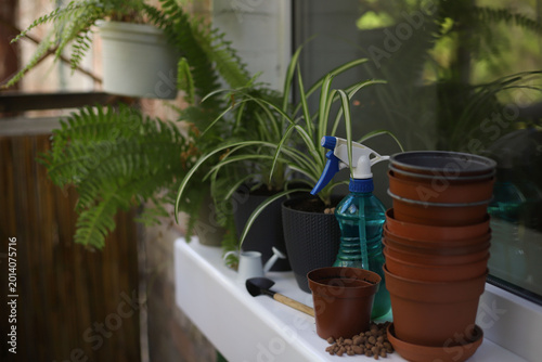 Foto On the balcony, preparations are underway for replanting indoor plants such as ferns and others