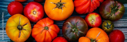 Panel kuchenny z motywem Variety of tomatoes on a wooden surface arranged in different colors and sizes during the day