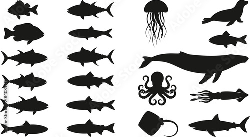 Fotografía Marine animal silhouettes collection, ocean wildlife icons, fish species artwork