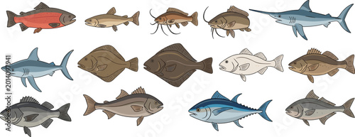 Slika na platnu Fish species collection vector
