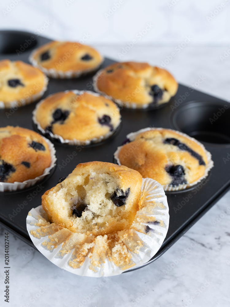 Fototapeta premium Blueberry Muffins in Baking Tray with Fresh Muffin Front View