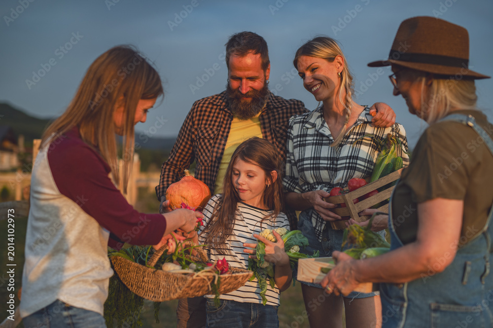 Obraz premium Farmers carrying basket with harvest and looking at homegrown vegetables outdoors at community garden.