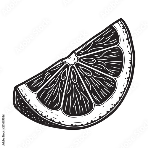 Black and white sketch of a fresh orange slice