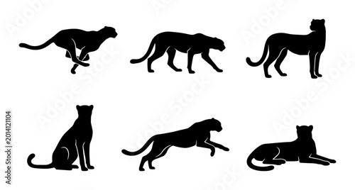 Photography Six Silhouette Cheetah Poses Vector Set, Dynamic Wild Animal Illustrations, Afri
