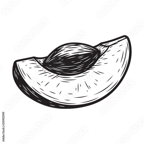 Hand drawn sketch of a fresh peach slice with pit