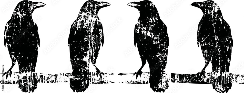 Fototapeta premium four grunge ravens perched on a barbed wire fence silhouette illustration