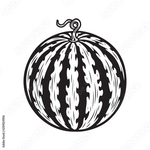 Black and white hand drawn watermelon fruit illustration