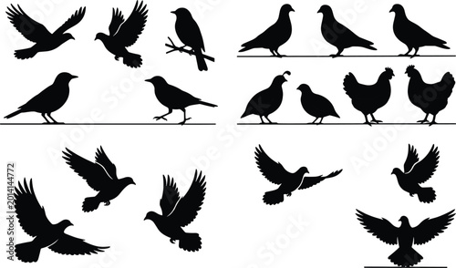Tableau sur toile Bird silhouettes set with flying perched pigeons doves and chickens isolated vec