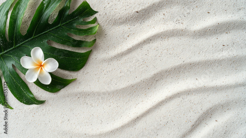 Photo background of a white sand on the beach, modern flat lay with a tropical leaf and frangipani flower in the corner, in a morning soft light