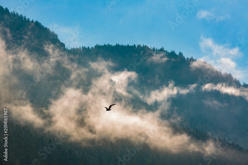 Fog and clouds through mountains, Orcas Island, San Juan Island