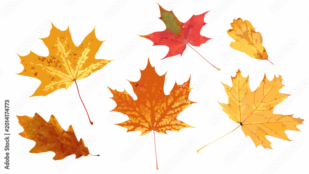 Fototapeta premium watercolor painting of scattered autumn leaves with vibrant fall colors on a white background high quality professional detailed