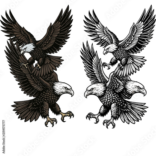 Two bald eagles with spread wings shown in different artistic styles.