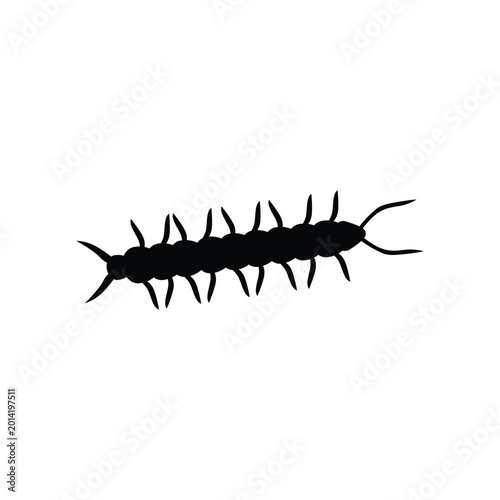 Vászonkép Centipede, black silhouette, insect icon, vector illustration vector, icon, eps,