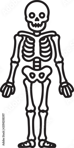 Full body skeleton illustration in black outline on transparent background
