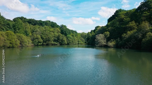 Marvel at the beauty of a tranquil lake in France, where nature comes alive as a bird gracefully takes flight