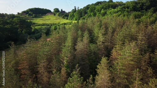 Explore the stunning forested regions of France with vibrant green trees and colorful meadows, captured from above with beauty