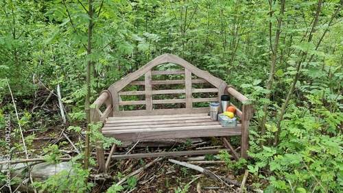 wooden bench in the park