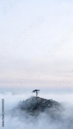 Minimalist Lone Tree on Rocky Mountain Peak Surrounded by Dense Morning Fog