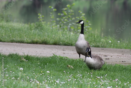 Ein Paar am Ufer