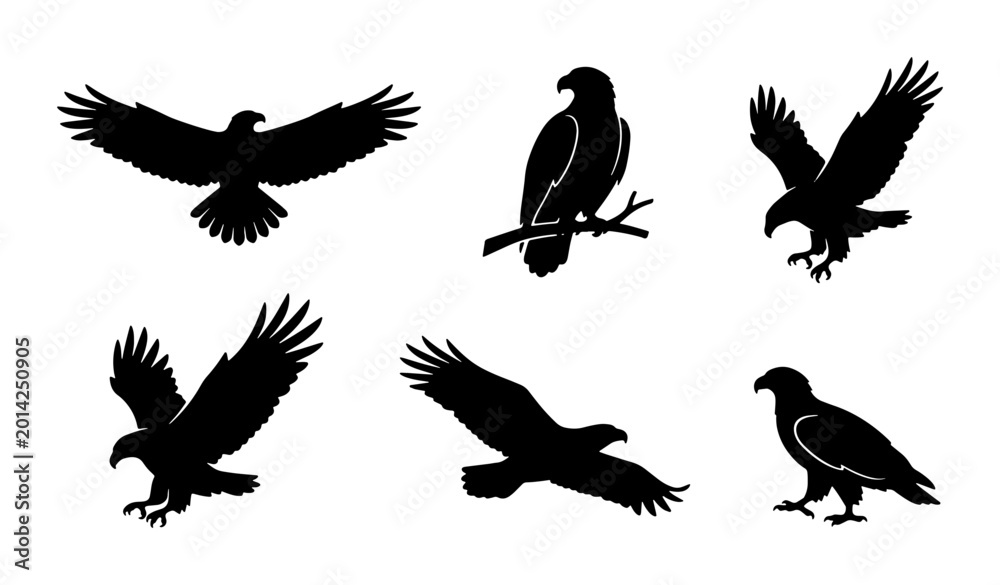 Fototapeta premium Eagle Silhouettes Collection: Majestic Birds in Flight and Perched Poses, Vector Icons for Wildlife and Freedom Concepts
