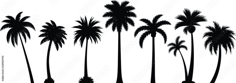 Fototapeta premium Black silhouette palm trees collection, tropical exotic island summer vacation landscape elements, beach coconut tree isolated on white background.