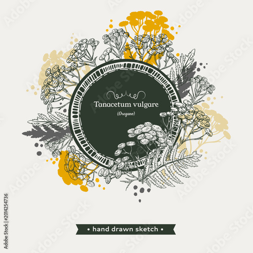 Frame of Common tansy