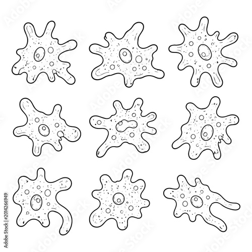 Tableau sur toile Set of amoeba single celled organisms illustration collection representing microscopic biology and unicellular life