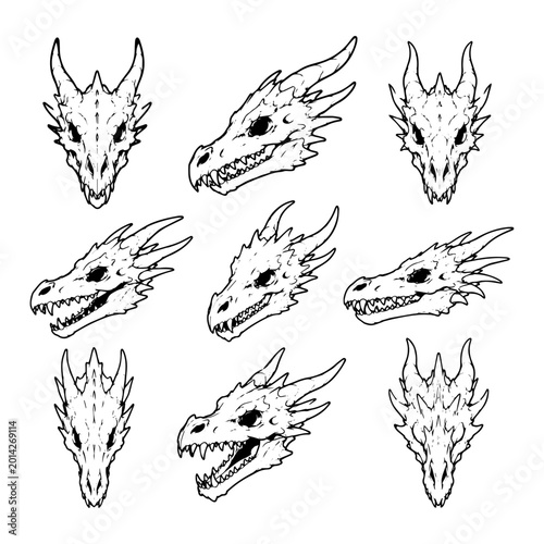 Foto Set of dragon heads in different poses vector illustration of mythical creatures drawn in black and white line art