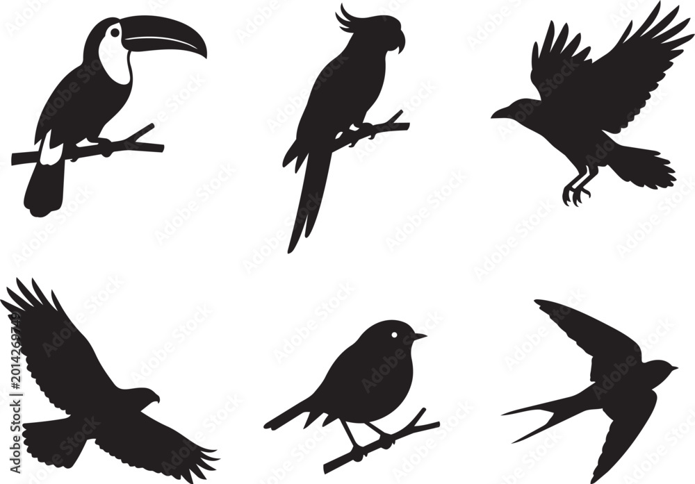 Fototapeta premium Set of six black silhouette birds flying and perched on branches isolated on transparent background, Vector
