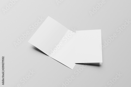 Blank Bifold Brochure