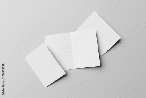 Blank Bifold Brochure