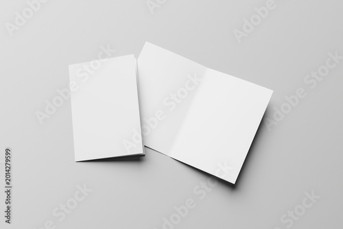Blank Bifold Brochure