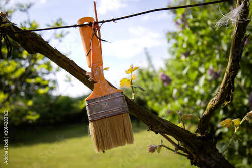Cuadro en lienzo Orange Paintbrush Hanging on Wire Outdoors with Green Garden Background