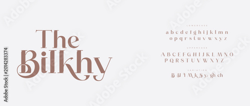 Elegant bilkhy font display with alphabet characters