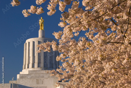 Fotografie Cherry tree bloom with Oregon Pioneer, State Capitol State Park, Salem, Oregon