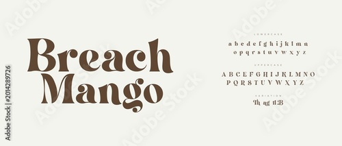 Elegant breach mango display typography