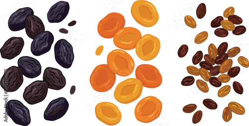 Healthy Dried Fruit Vector Set Featuring Prunes, Apricots, and Sultana Raisins for Organic Snack Packaging, Nutrition Infographics, and Vegan Diet Food Illustrations