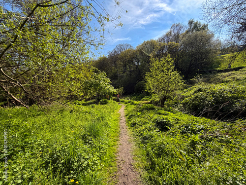 A winding path stretches through a lush green forest under clear blue skies. Sunlight filters through the treetops, creating shadows on the ground near Meanwood Beck, Far Headingley, Leeds, UK